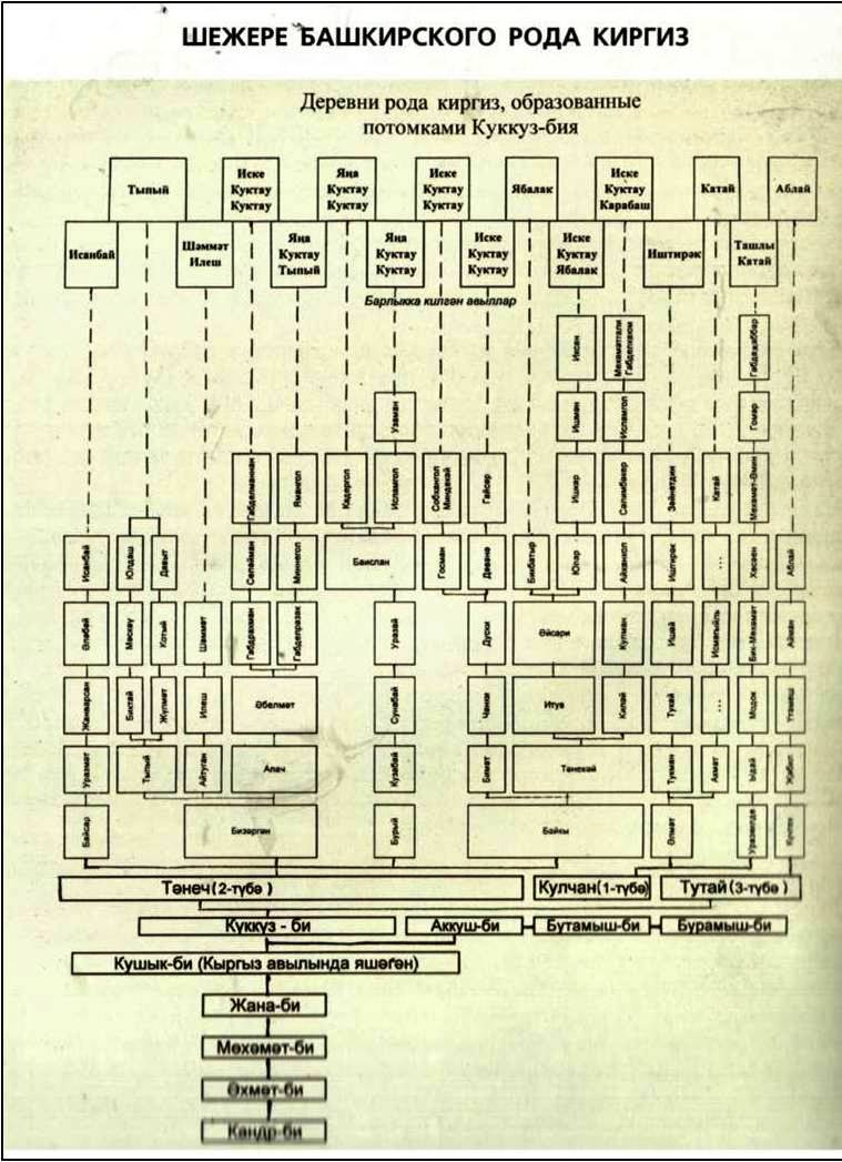 Башкирские рода список шежере 3 аксуваша. Башкирские Шежере Кузеев. Шежере родословная. Родословная дерево Шежере. Родословная башкир.